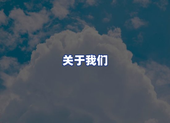 专业团队